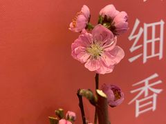 -眉州东坡(中关村店)