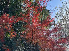 -虞山风景区