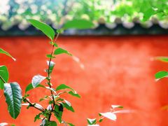 -成都杜甫草堂博物馆