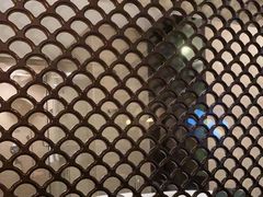 -佛山顺德香云纱园林酒店(清晖园店)