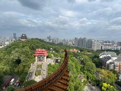 -黄鹤楼公园(黄鹤楼)