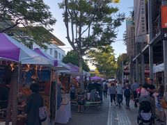 -布里斯班南岸公园