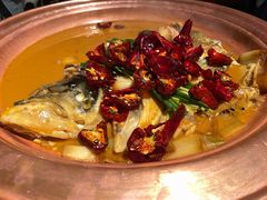 -柿合缘新京菜(国金中心商场店)