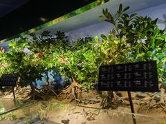 -中国（海南）南海博物馆