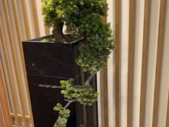 -大鹏饭店·金陵家宴(奥体中心店)