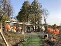 -安德鲁户外烧烤帐篷营地(马泉营店)