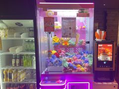 -明日世界密室轰趴·剧本桌游·箭馆团建(国贸店)