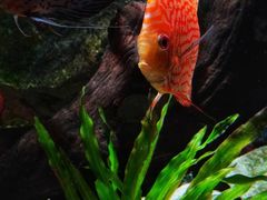 -上海海洋水族馆