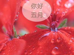 -兰溪青年公园