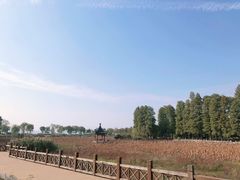-东湖磨山景区