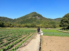 -八卦田遗址公园