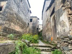 -新安江山水画廊风景区