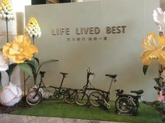 -王府半岛酒店·半岛精品店
