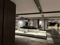 -新加坡乌节希尔顿酒店 (SG Clean)