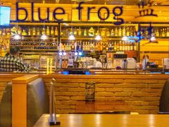 -blue frog蓝蛙(长泰广场店)