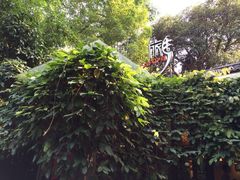 旅马餐厅(茅家埠店)-旅马餐厅(茅家埠店)