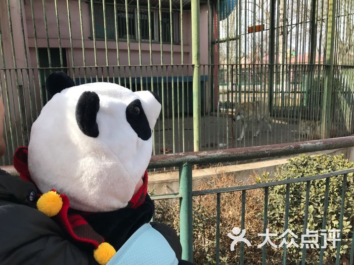 天津動物園圖片 - 第3張