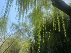 -西安市长乐公园