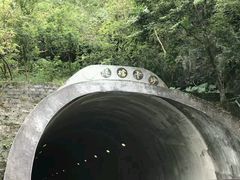 -太鲁阁公园