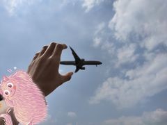 -空港花田景区