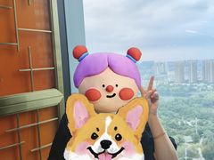 -君悦酒店·乐厨·高空自助餐(青年大街店)