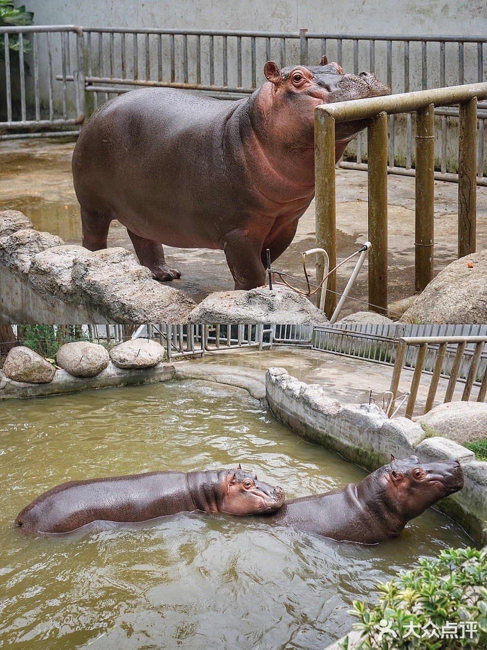 人生第一次 春游大作战