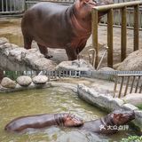 人生第一次 春游大作战