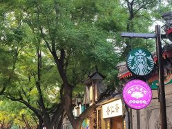 -青稚护手霜QINGZHI