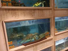 -顺峰(农展馆店)
