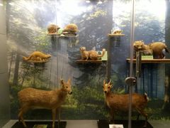 -下渚湖国家湿地公园科普馆