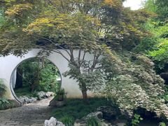 -上海醉白池公园