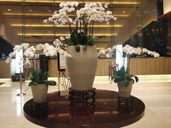 -深圳观澜格兰云天国际酒店