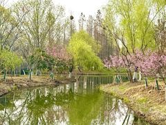 -梁鸿国家湿地公园