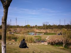 -上海长兴岛郊野公园