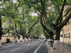 -颐和路民国时期公馆风貌区