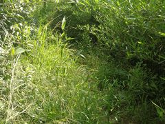 -浙西天池-售票处