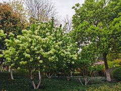 -杭州城北体育公园