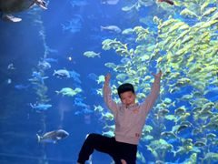 -南昌融创海世界