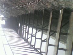 -陕西省红河谷森林公园