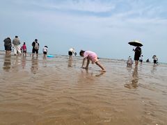 -金沙滩海水浴场(万平口景区4号门扬帆广场店)