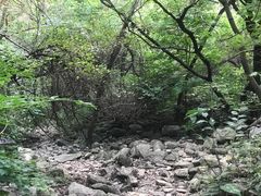 -龙洞风景区-藏龙涧