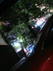 -上海交通大学医学院附属上海儿童医学中心(陆家嘴总院区)