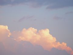 -瑶湖郊野森林公园