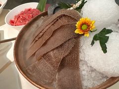 -九鼎轩脆毛肚火锅(三钢里店)