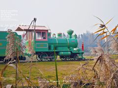 -长田漾湿地公园