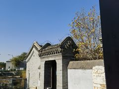 -春风习习