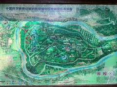 -中国科学院西双版纳热带植物园