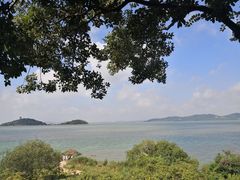 -上海市保健医疗中心