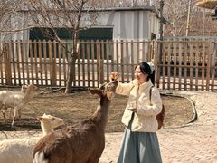 -水上乐园·欢乐世界