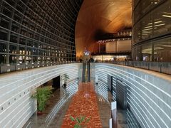 -国家大剧院